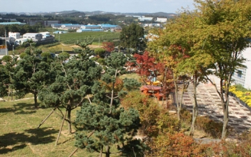 평택수목장 by 한국장묘컨설팅